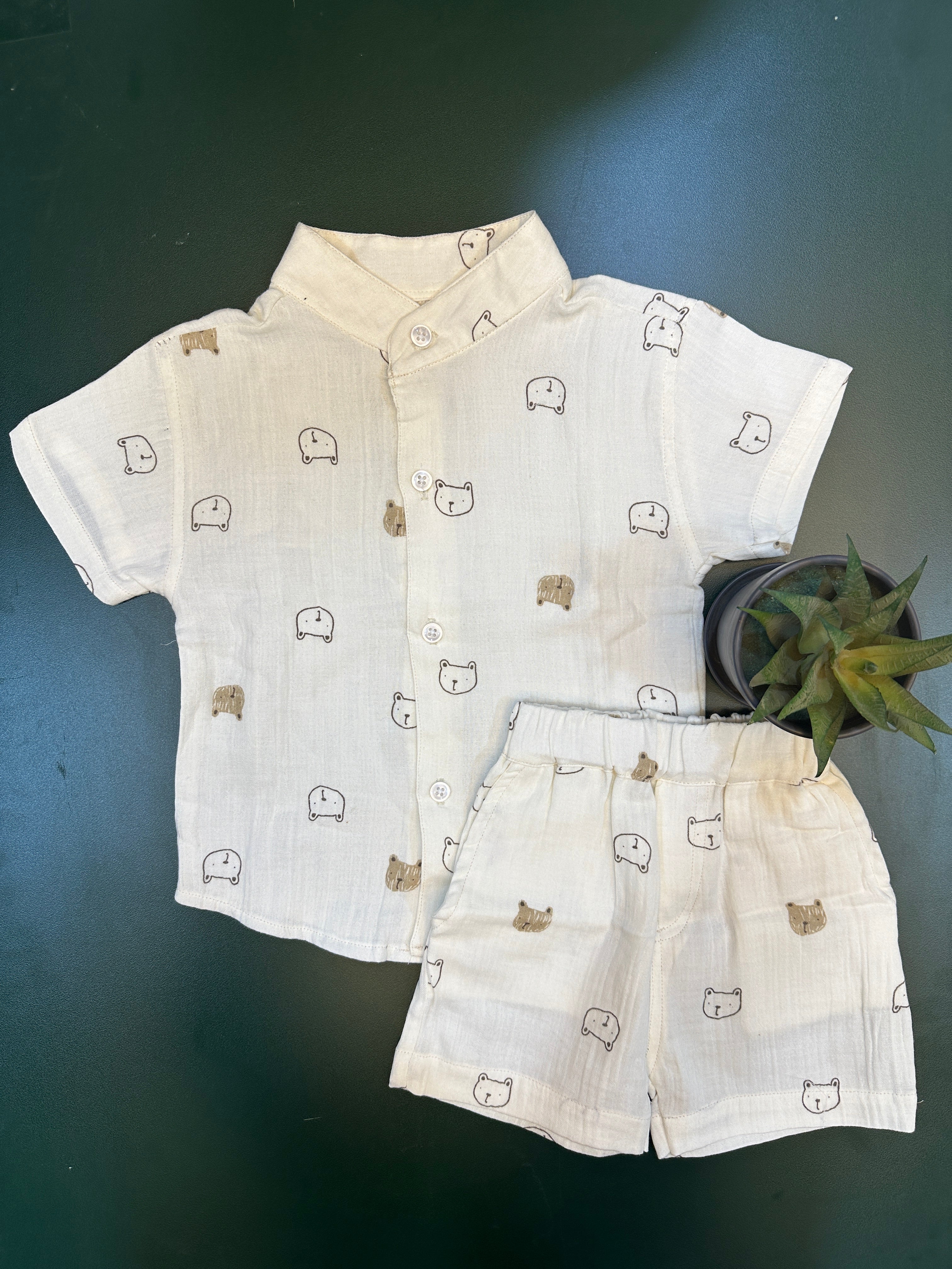 Bear boys cotton shirt and short set