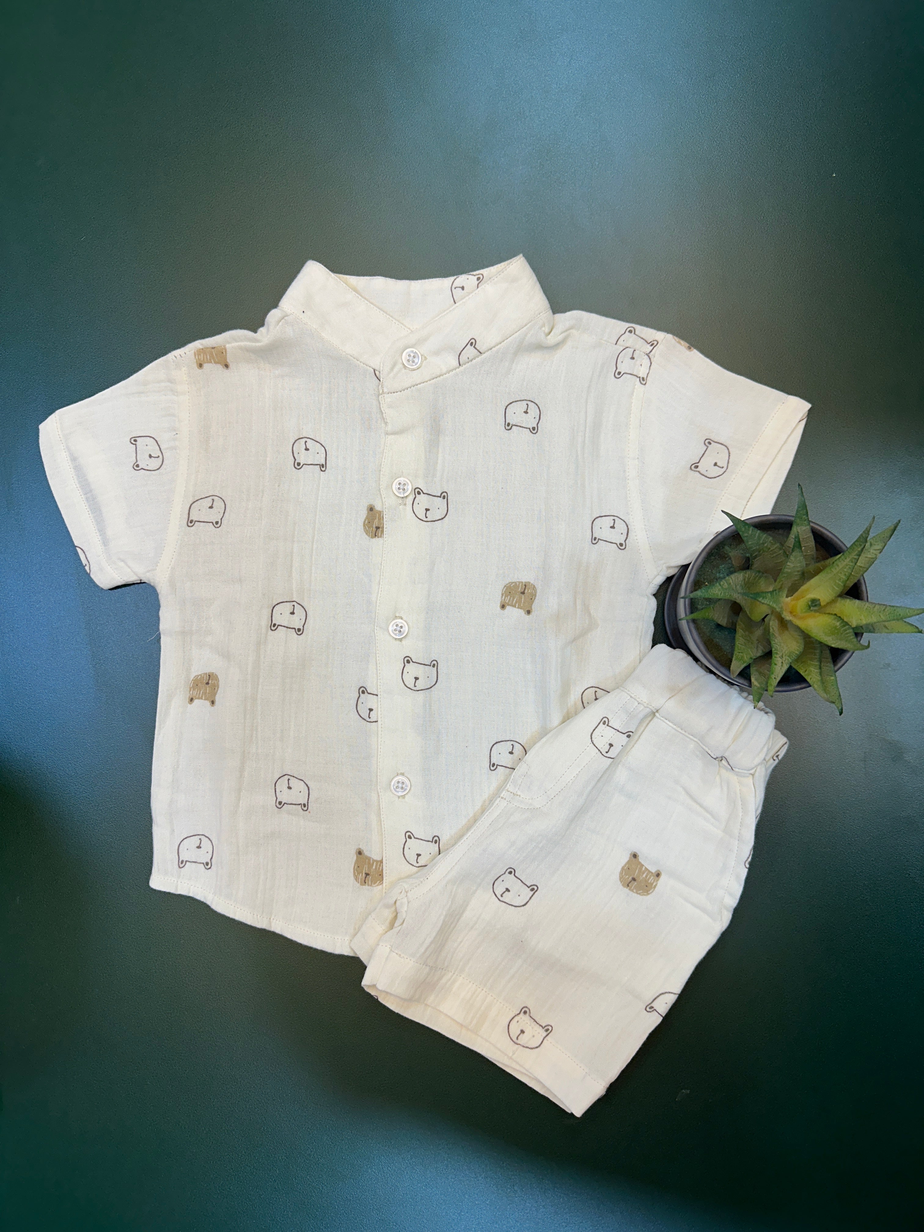 Bear boys cotton shirt and short set